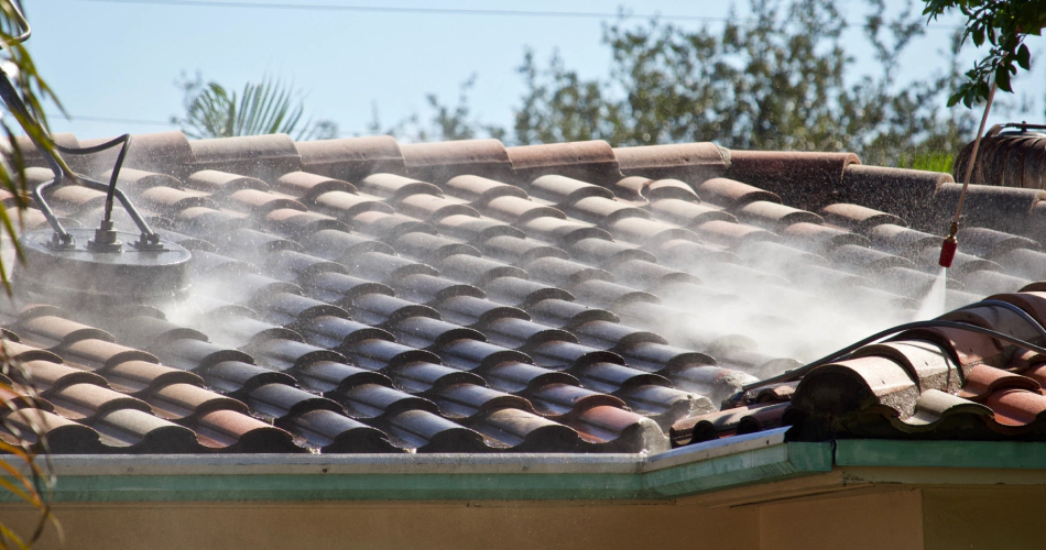 service roof cleaning work