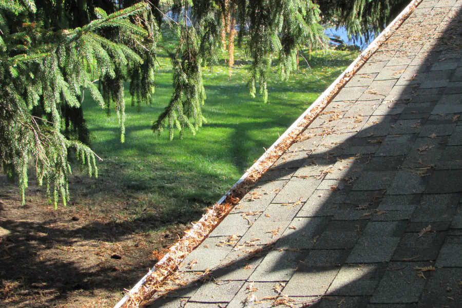 service roof gutter full of leaves